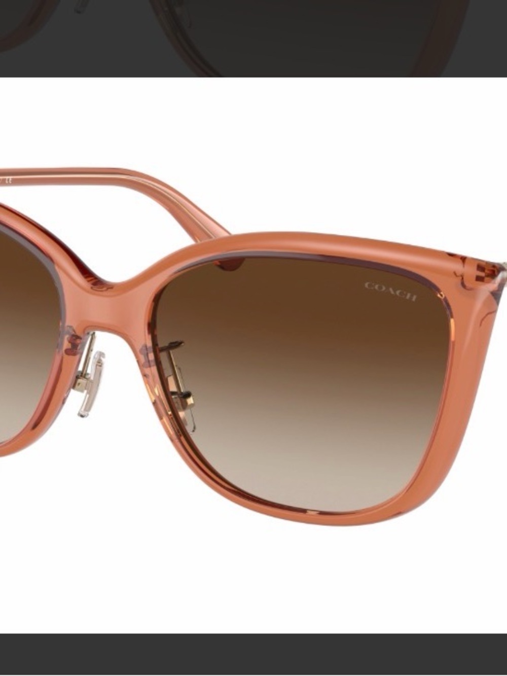 COACH Coach C9206 8345 Sunglasses Transparent Amber